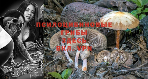 прущие крисы Абинск
