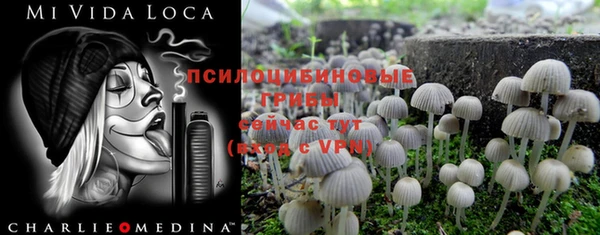 стафф Абаза