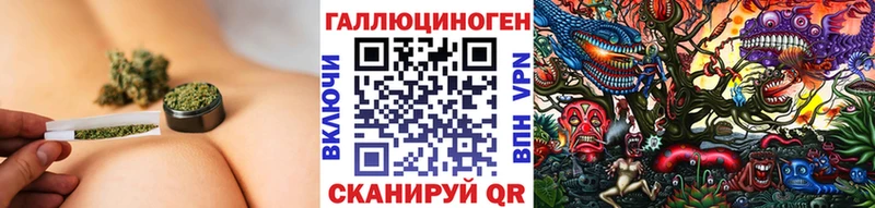 хочу   Азнакаево  гидра как зайти  Галлюциногенные грибы Cubensis 